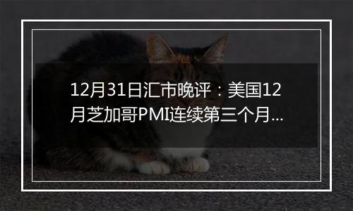 12月31日汇市晚评：美国12月芝加哥PMI连续第三个月走软 欧元/美元稳定在1.0400附近