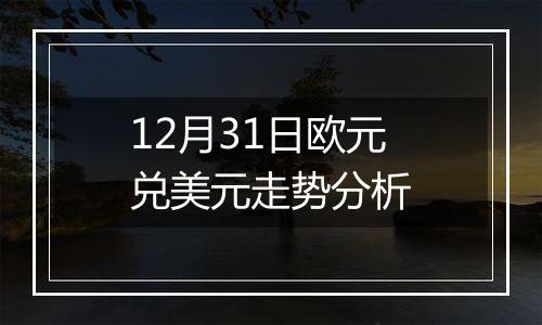 12月31日欧元兑美元走势分析