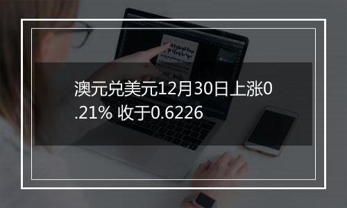 澳元兑美元12月30日上涨0.21% 收于0.6226