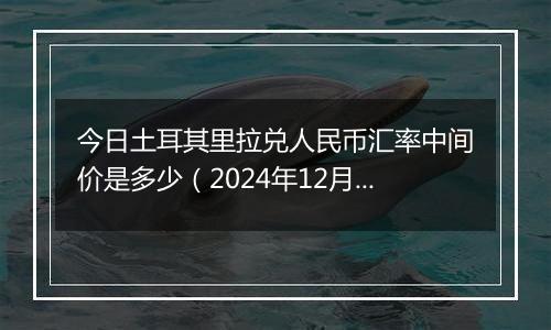 今日土耳其里拉兑人民币汇率中间价是多少（2024年12月31日）