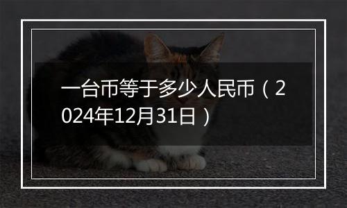 一台币等于多少人民币（2024年12月31日）