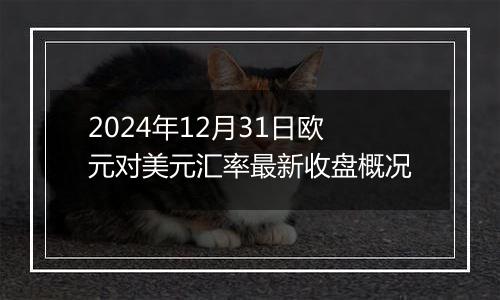 2024年12月31日欧元对美元汇率最新收盘概况