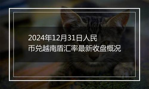 2024年12月31日人民币兑越南盾汇率最新收盘概况