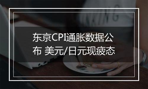 东京CPI通胀数据公布 美元/日元现疲态