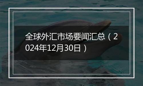 全球外汇市场要闻汇总（2024年12月30日）