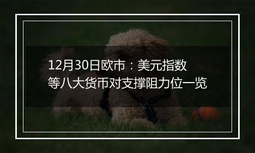 12月30日欧市：美元指数等八大货币对支撑阻力位一览