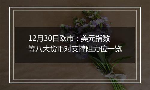 12月30日欧市：美元指数等八大货币对支撑阻力位一览