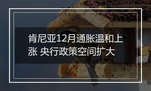 肯尼亚12月通胀温和上涨 央行政策空间扩大