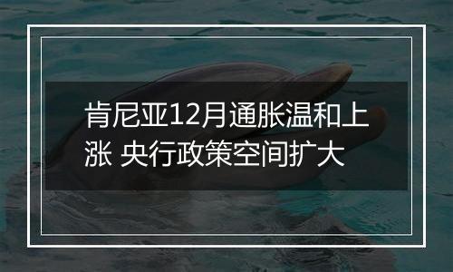 肯尼亚12月通胀温和上涨 央行政策空间扩大