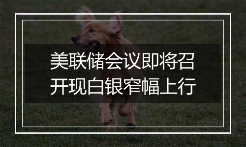 美联储会议即将召开现白银窄幅上行