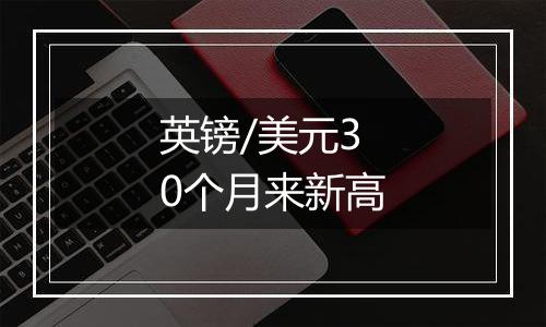 英镑/美元30个月来新高